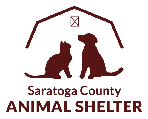 Adopt a Dog Or Puppy - Saratoga County Animal Shelter